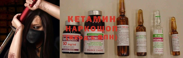 кокс Дмитровск