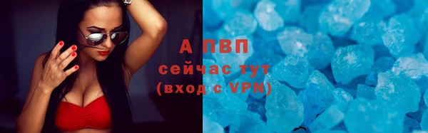 марки nbome Дмитриев
