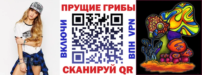 где купить наркоту  гидра tor  Псилоцибиновые грибы мицелий  Игарка 